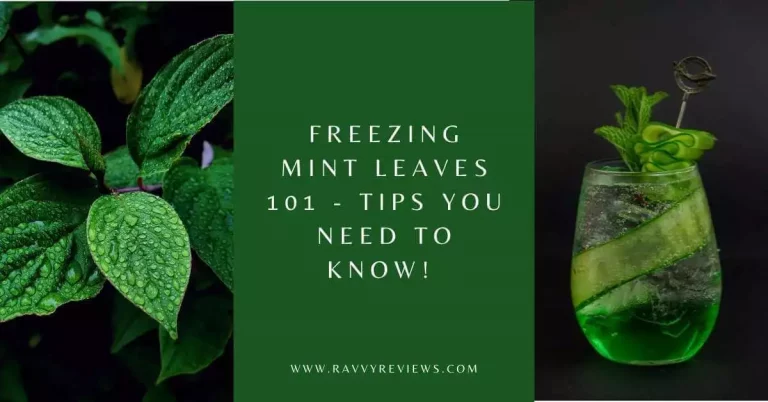 Freezing Mint Leaves 101 - Tips You Need to Know! - featured-image