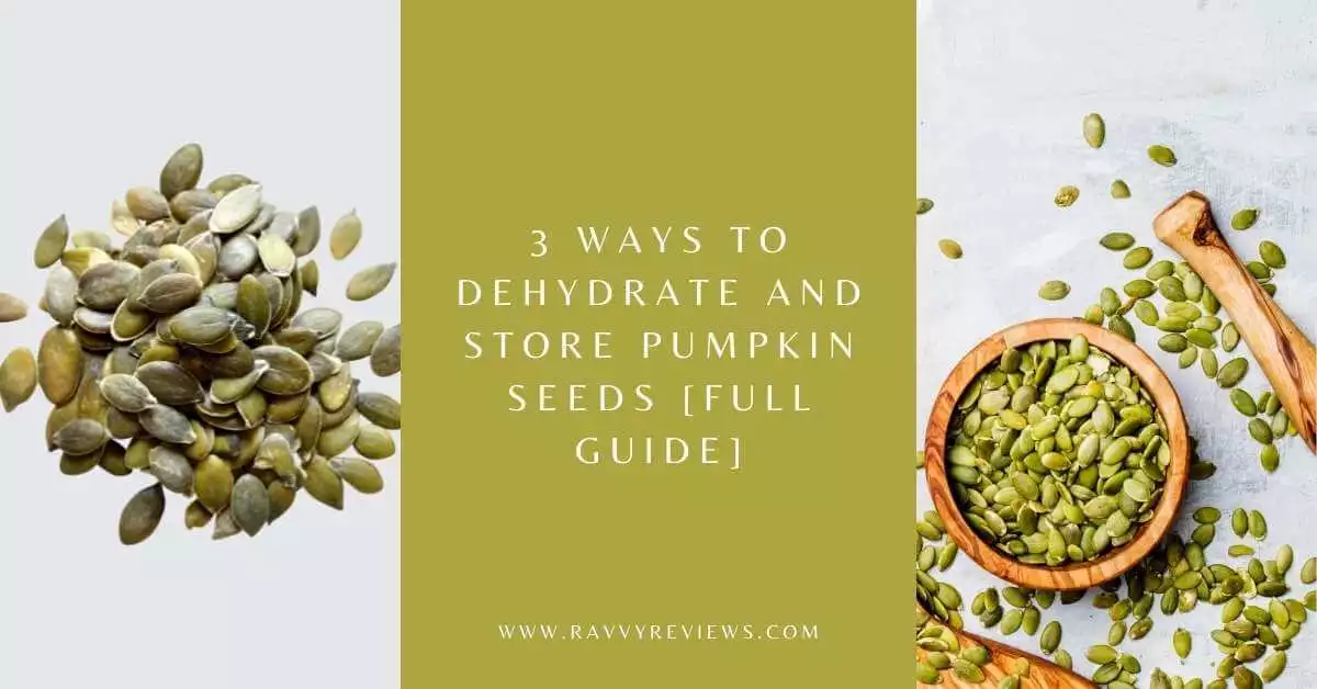 3 Ways to Dehydrate and Store Pumpkin Seeds [Full Guide]
