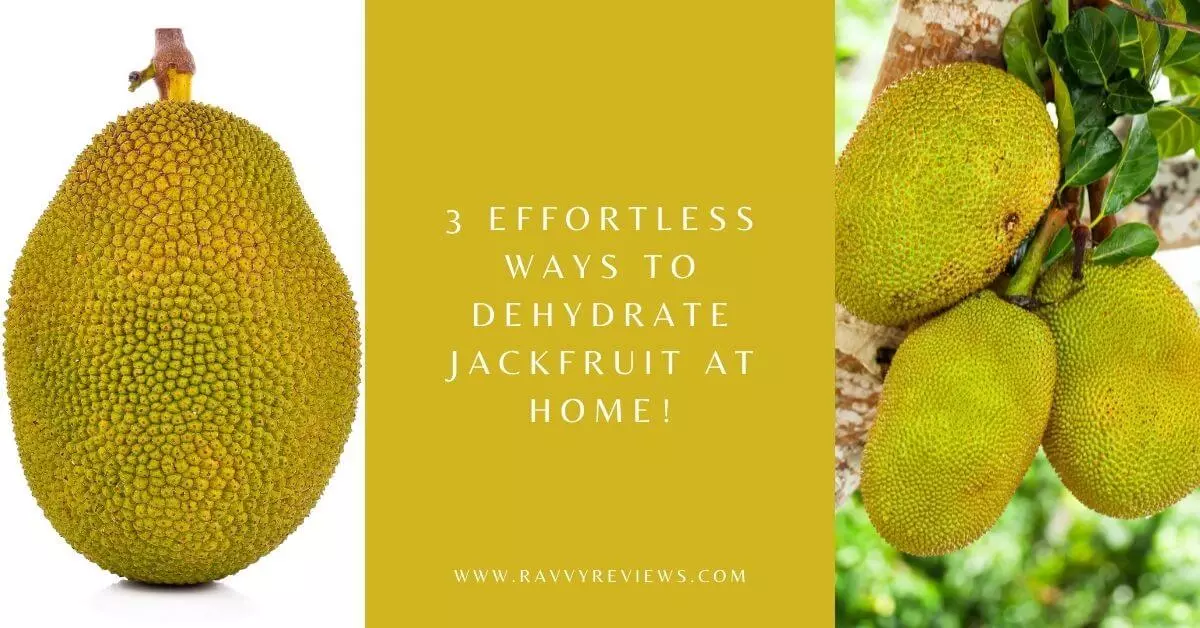 3 Effortless Ways to Dehydrate Jackfruit at Home!