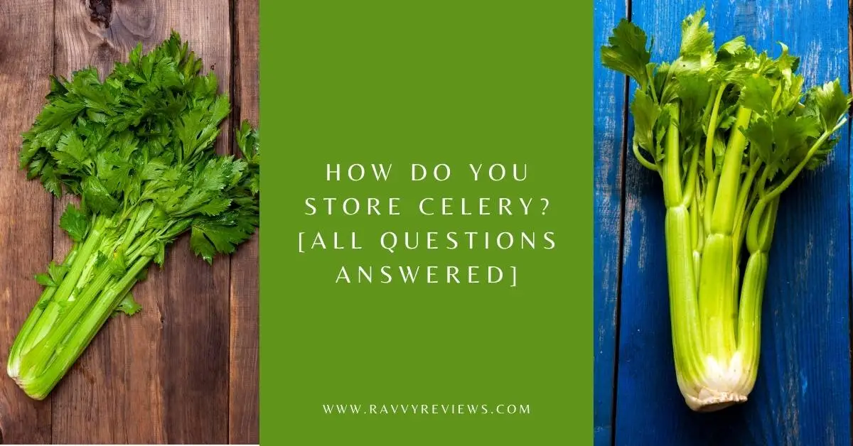 How Do You Store Celery [ALL QUESTIONS ANSWERED]