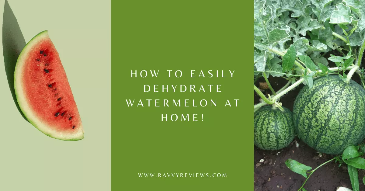 How to Easily Dehydrate Watermelon at Home!